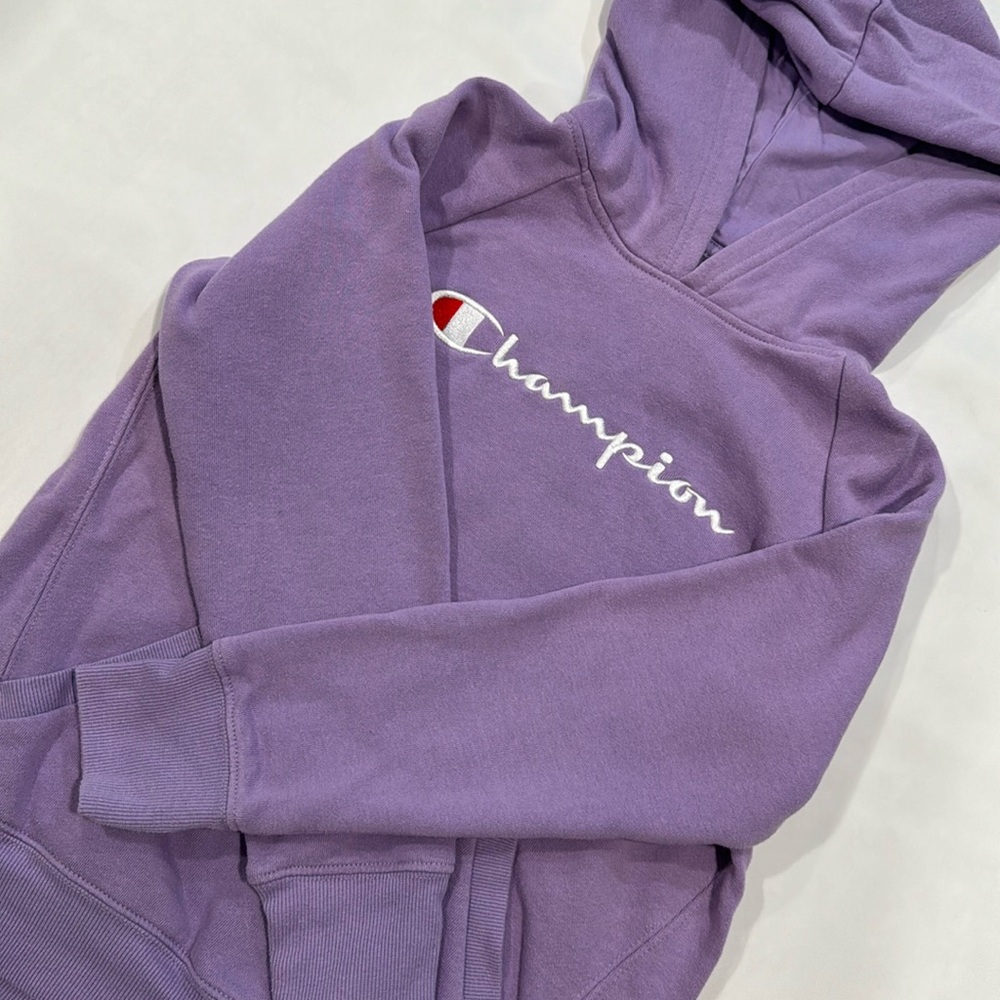 Champion Hoodie, Girls Large